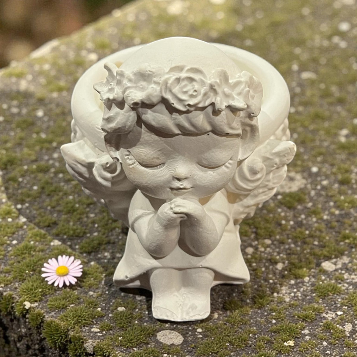 Hand-Cast Plaster